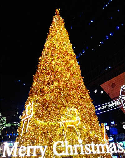 武汉光谷圣诞树