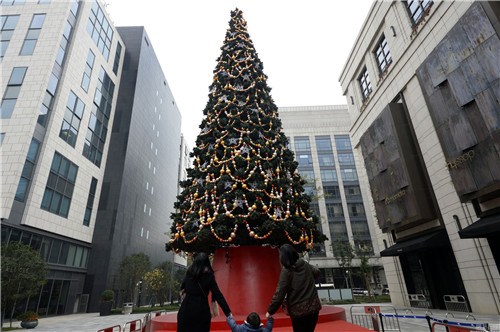 18米大型圣诞树