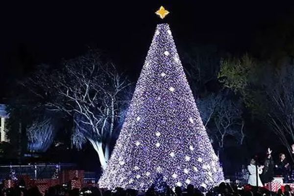 LED彩灯大型圣诞树