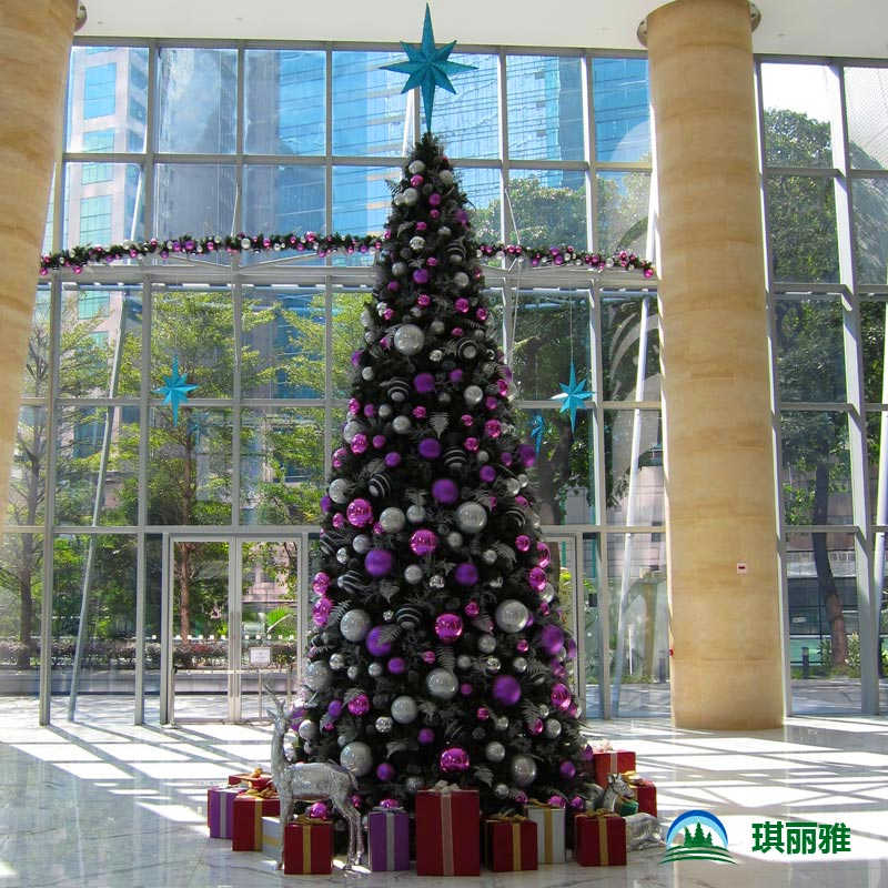 香港购买圣诞树