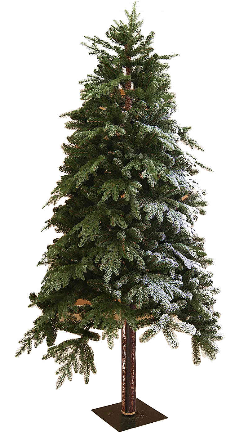 圣诞木杆树