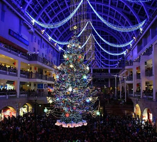 日本2015圣诞树亮灯