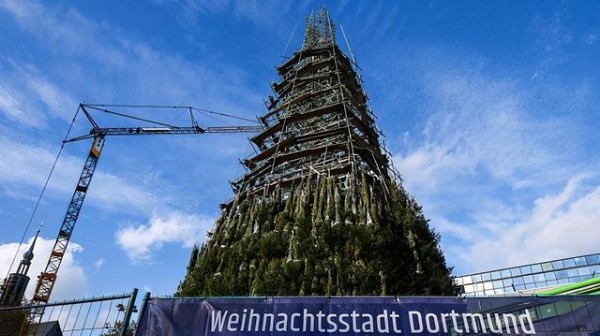 世界上最高的45米圣诞树